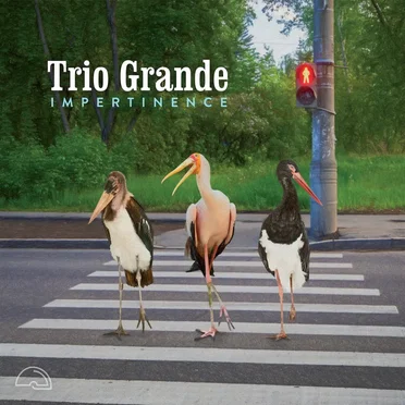 Impertinence by Trio Grande - album cover