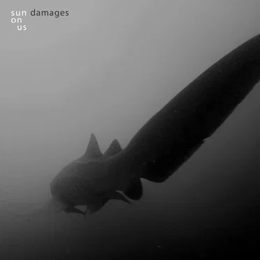 Damages