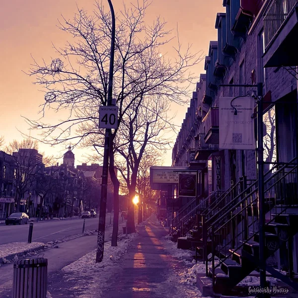Flocon D’hiver - The Winter Lofi Touch