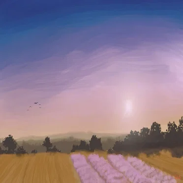 Fields