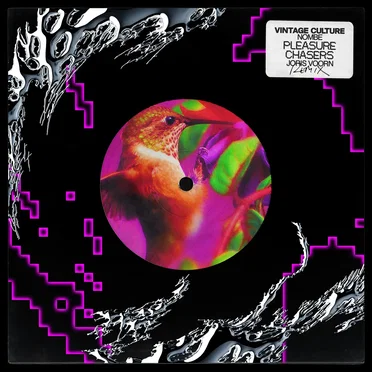 Pleasure Chasers (Joris Voorn remix)