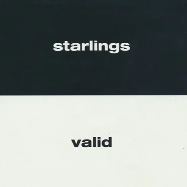 Starlings