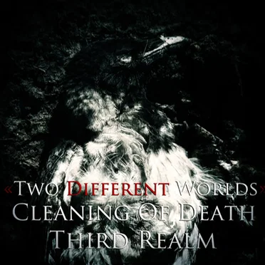 Two Different Worlds by Cleaning Of Death - album cover