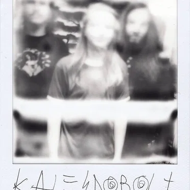 Momentum by Kaleidobolt - album cover