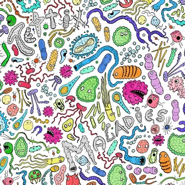 Maladies
