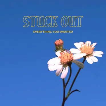 Everything You Wanted by Stuck Out - album cover