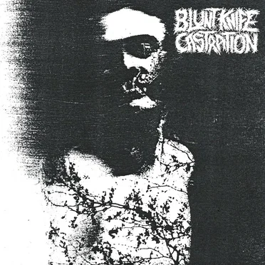 Blood & Oil by Blunt Knife Castration - album cover