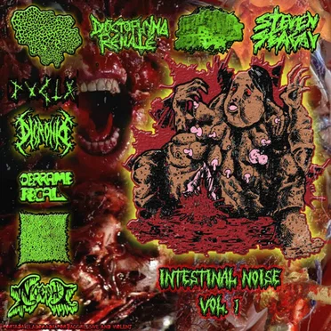 Intestinal Noise, Vol. 1 by Various Artists - album cover