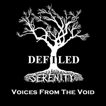 Voices From the Void