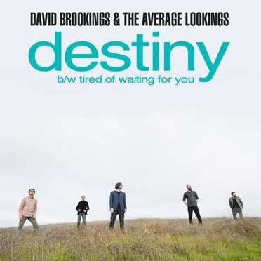 David Brookings and the Average Lookings