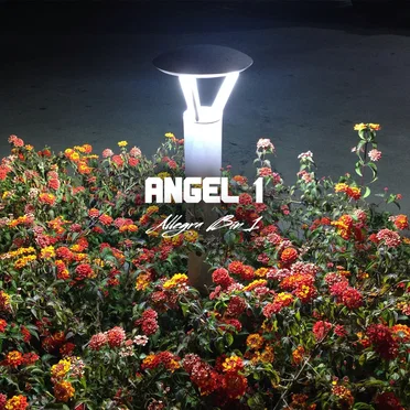 Allegra Bin 1 by Angel 1 - album cover