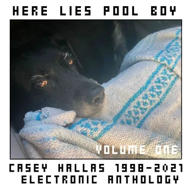 Here Lies Pool Boy, Volume 1