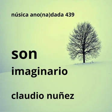Son imaginario by Claudio Nuñez - album cover