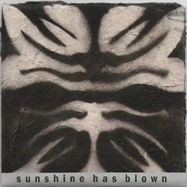 Sunshine Has Blown by Sunshine Has Blown - album cover