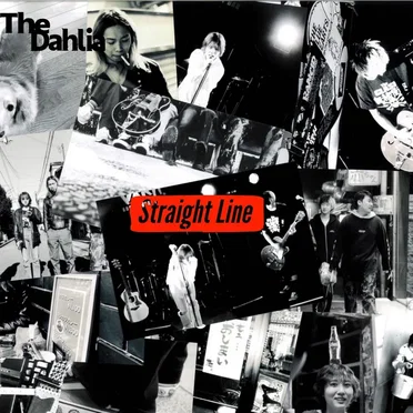 Straight Line by The Dahlia - album cover