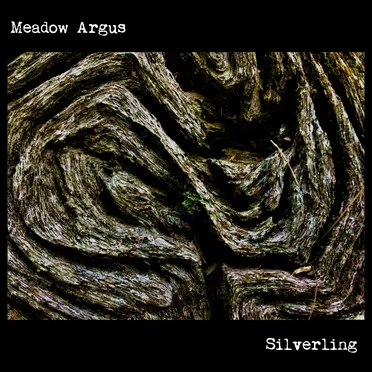 Silverling