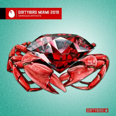 Dirtybird Miami 2019 by Various Artists - album cover