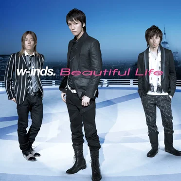 Beautiful Life