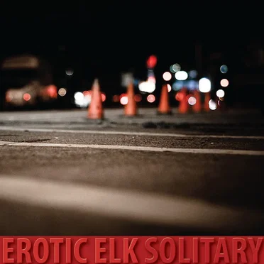 Solitary by Erotic Elk - album cover