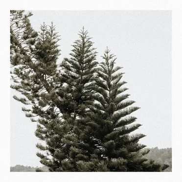 Nature by utem kaure - album cover