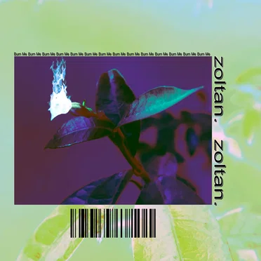 Burn Me by zoltan. - album cover