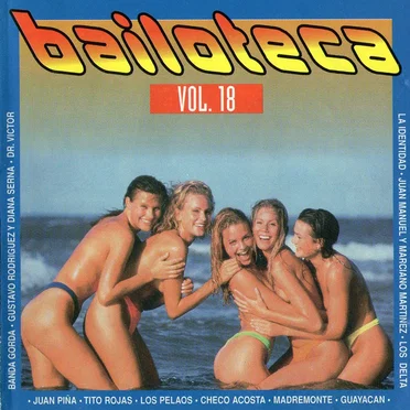 Bailoteca, vol. 18 by Various Artists - album cover