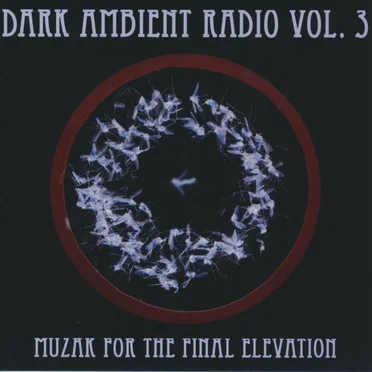 Dark Ambient Radio, Vol. 3: Muzak for the Final Elevation by Various Artists - album cover