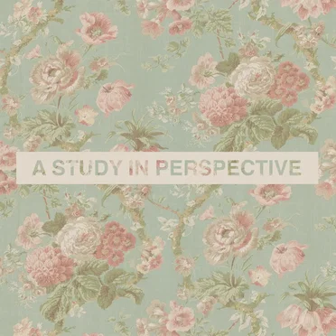 A Study in Perspective by Wayne Szalinski - album cover