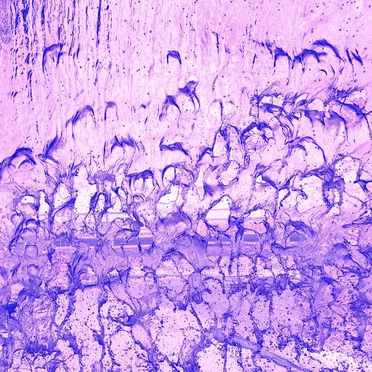 Soaked by James Hastings - album cover