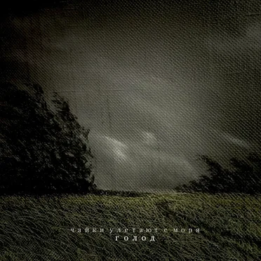 Голод by Чайки улетают с моря - album cover