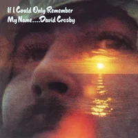 David Crosby artist image