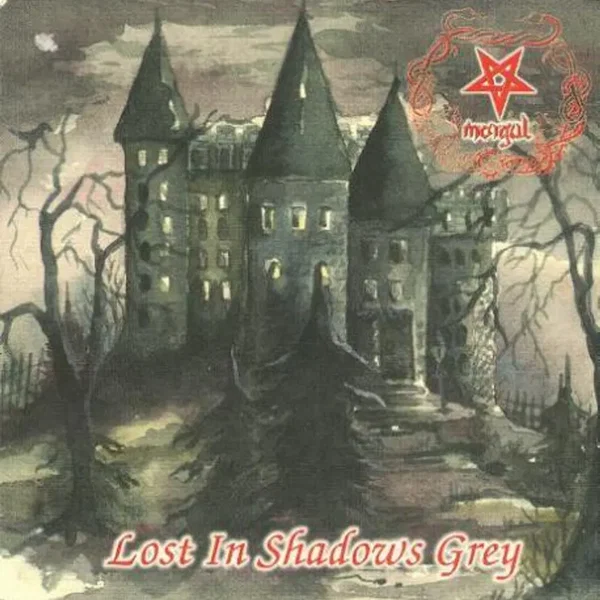 Lost in Shadows Grey