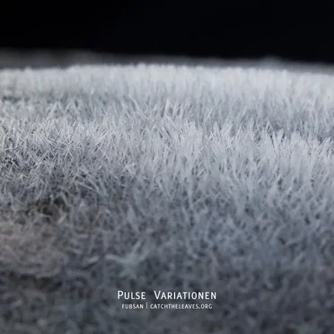 Pulse Variationen