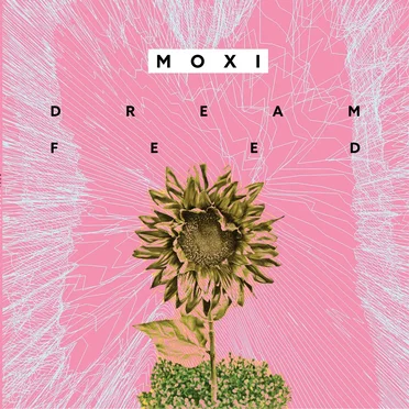 Dream Feed by Moxi - album cover