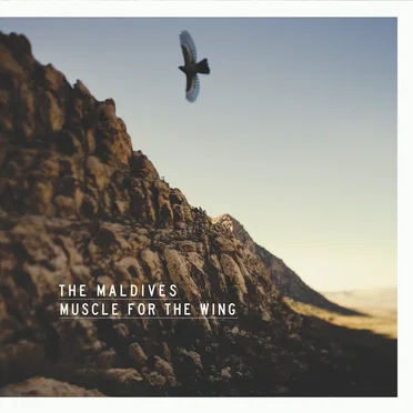 Muscle for the Wing