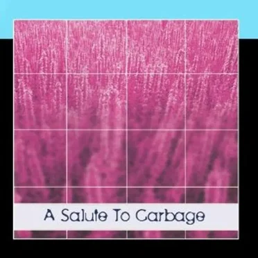 A Salute to Garbage by Wicked Vixen - album cover