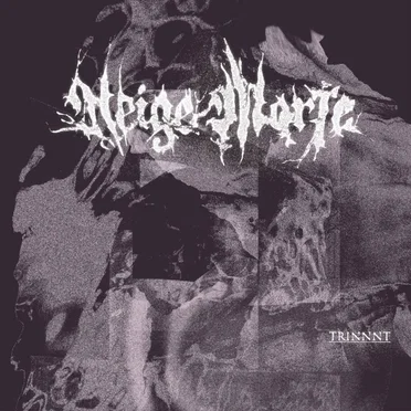 TRINNT by Neige Morte - album cover
