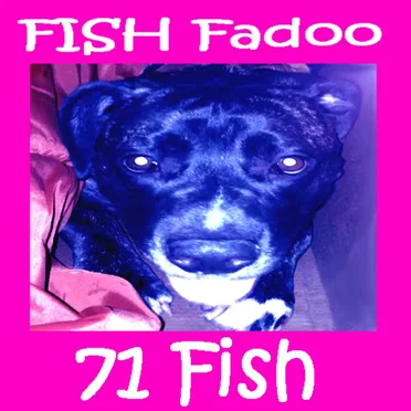 Fish Fadoo by 71 Fish - album cover