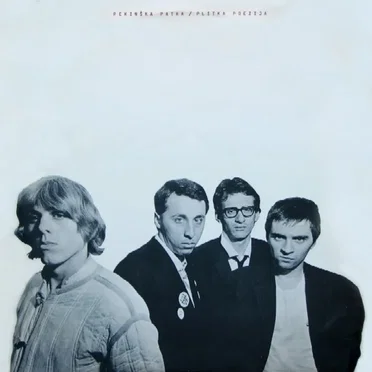 Plitka poezija by Pekinška patka - album cover