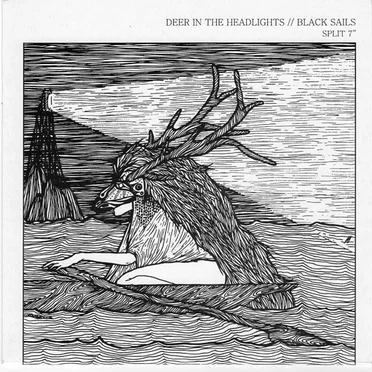 Deer In The Headlights / Black Sails