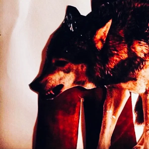 Taking All My Clothes Off