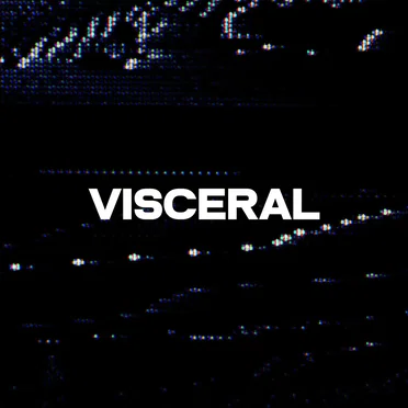Visceral by sldwn - album cover
