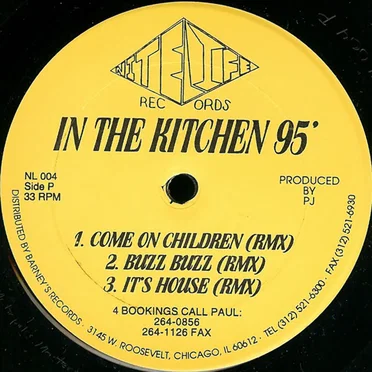 In the Kitchen '95