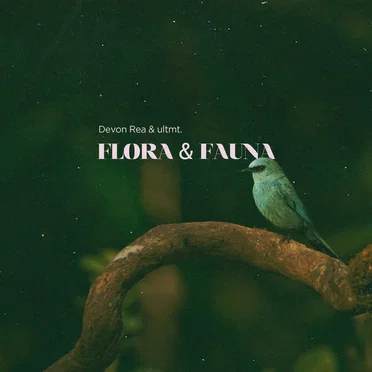 Flora & Fauna