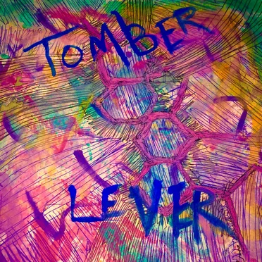 C21H30O5 by Tomber Lever - album cover