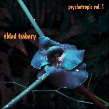 Psychotropic, Vol. 1 by Eldad Tsabary - album cover