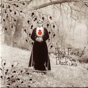 Black Forest / Black Sea