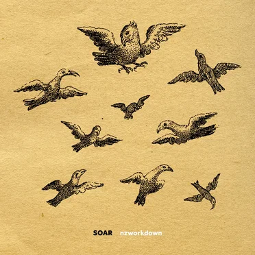 Soar
