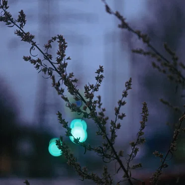 построение сюжета