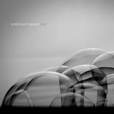 Hive by Surrogate Sibling - album cover
